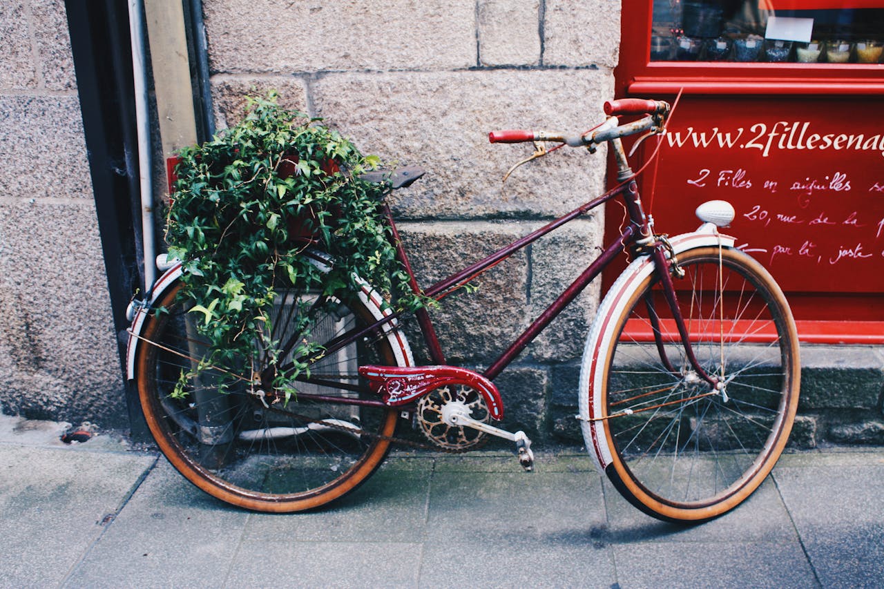 A vintage bicycle covered in lush plants parked on a street in Dinan, France, showcasing urban charm.
